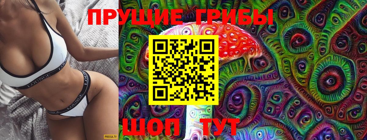 Губкин  Псилоцибиновые грибы ЛСД  где продают наркотики  Вход с VPN 