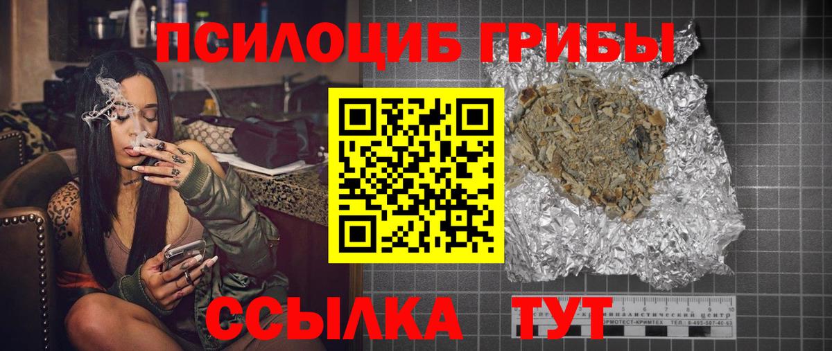 Псилоцибиновые грибы Cubensis Губкин